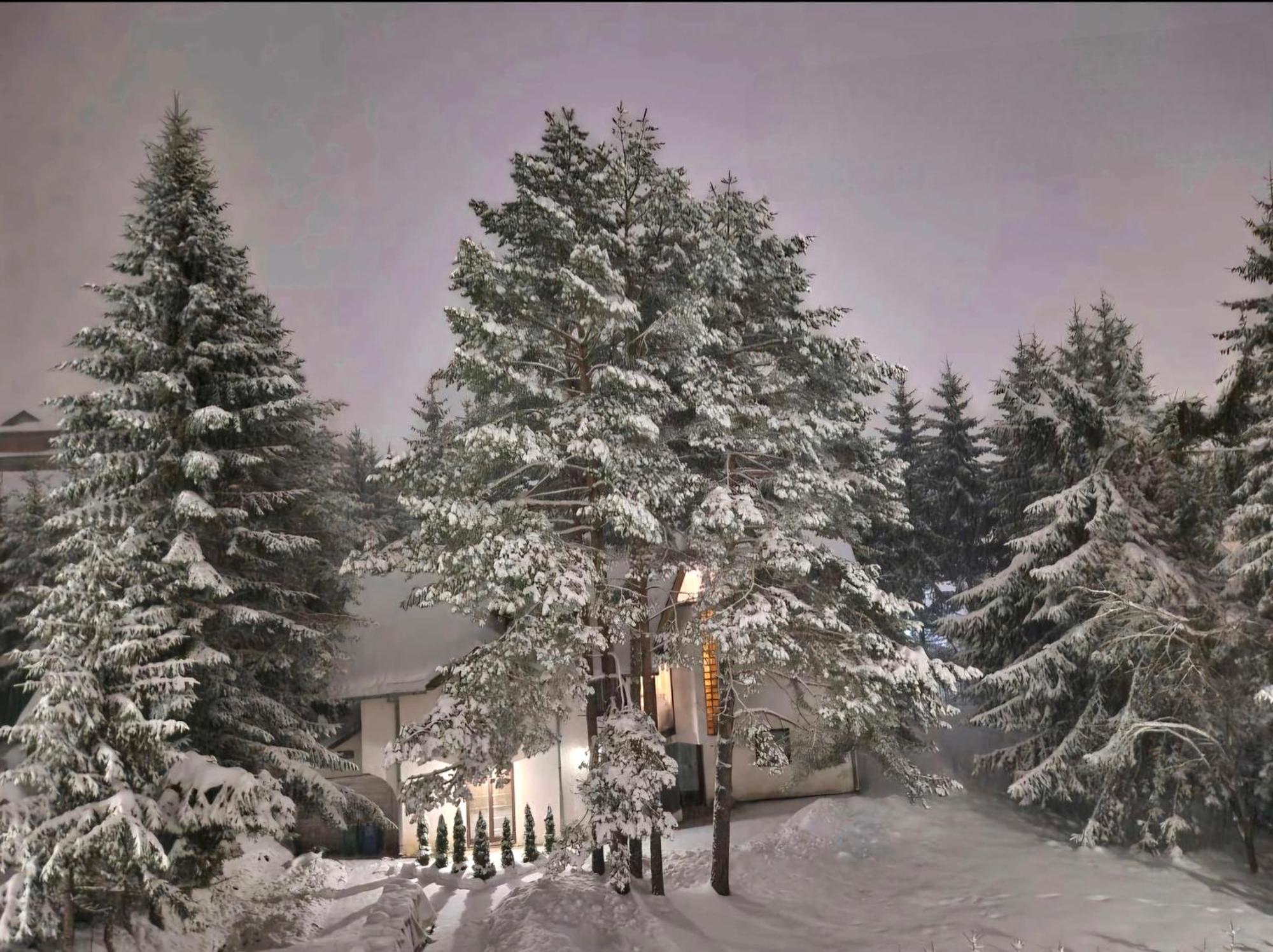 Silver Star Zlatibor Esterno foto